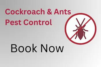 Pest Control Services