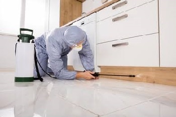 Termite Treatment